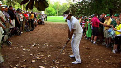 Baba Watson's shot at Master's