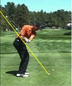 shoulder stay back